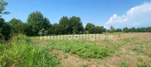 Grundstück in Pordenone, Italy 12110m², Nr. 273617 3