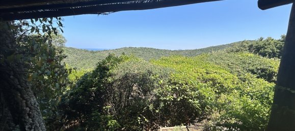 5 rooms Villa in Castiglione della Pescaia, Italy No. 305887 18