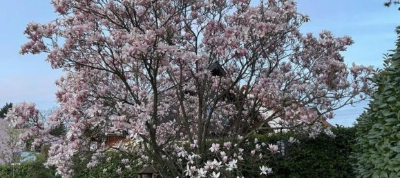 7 rooms Bungalow in Rhein-Sieg, Germany No. 347688 29