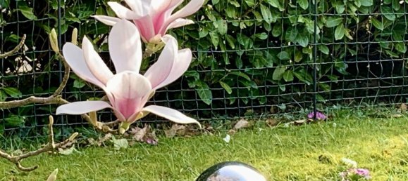 7 rooms Bungalow in Rhein-Sieg, Germany No. 347688 33