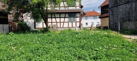 5 bedrooms House in Ortenaukreis, Germany No. 116019 2