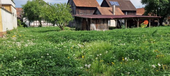 5 bedrooms House in Ortenaukreis, Germany No. 116019 11