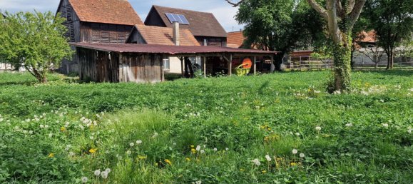 5 bedrooms House in Ortenaukreis, Germany No. 116019 10