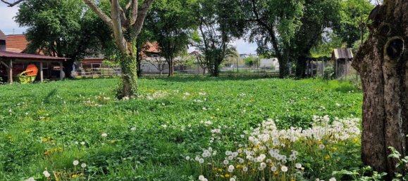 5 bedrooms House in Ortenaukreis, Germany No. 116019 9