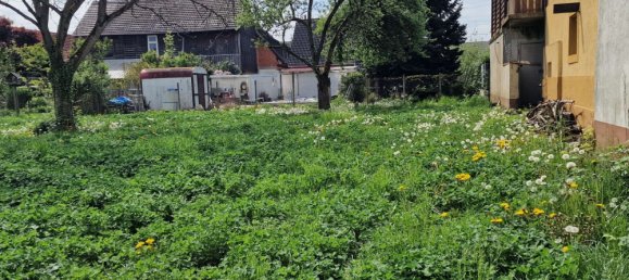 5 bedrooms House in Ortenaukreis, Germany No. 116019 8