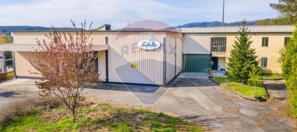 3926m² Warehouse in Lage, Portugal No. 33828 13