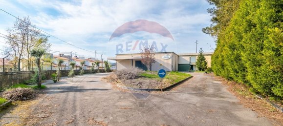 3926m² Warehouse in Lage, Portugal No. 33828 9