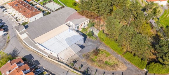 3926m² Warehouse in Lage, Portugal No. 33828 10