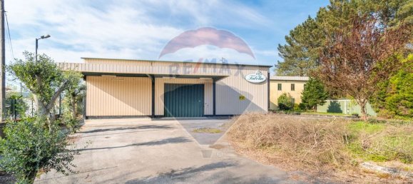 3926m² Warehouse in Lage, Portugal No. 33828 24