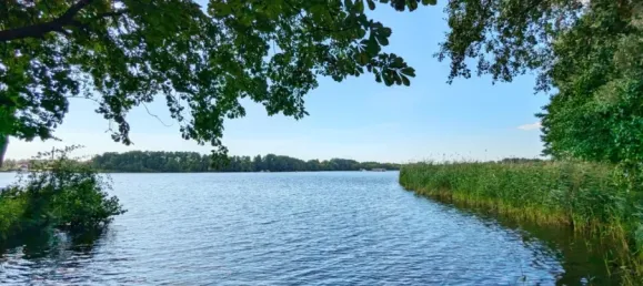  Land in Dahme-Spreewald, Germany No. 26488 3