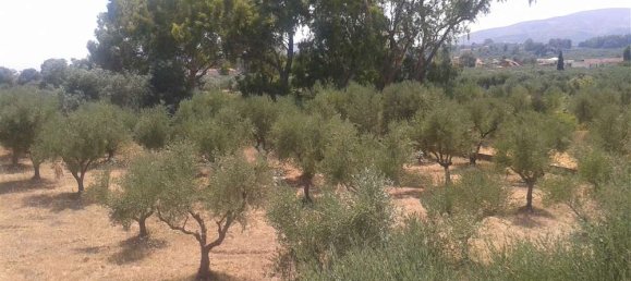 Propriété commerciale à Zakynthos, Greece No. 493 5