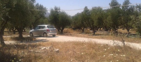 Propriété commerciale à Zakynthos, Greece No. 493 3