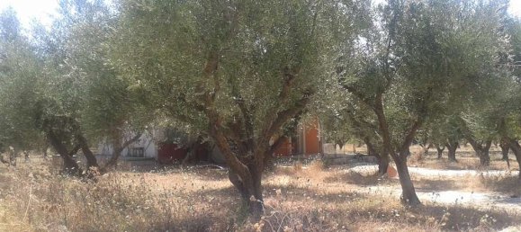 Propriété commerciale à Zakynthos, Greece No. 493 2