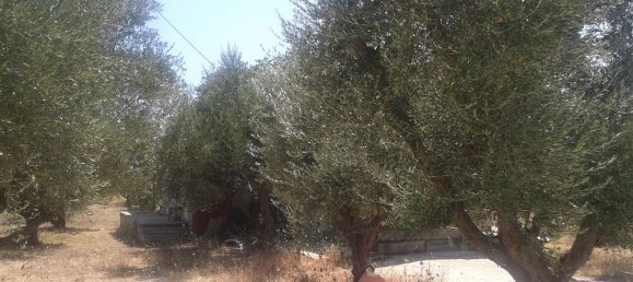 Propriété commerciale à Zakynthos, Greece No. 493 6