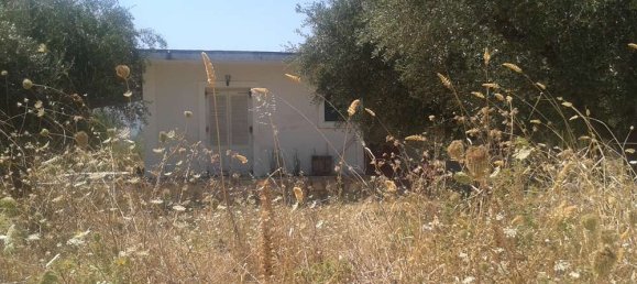 Propriété commerciale à Zakynthos, Greece No. 493 7