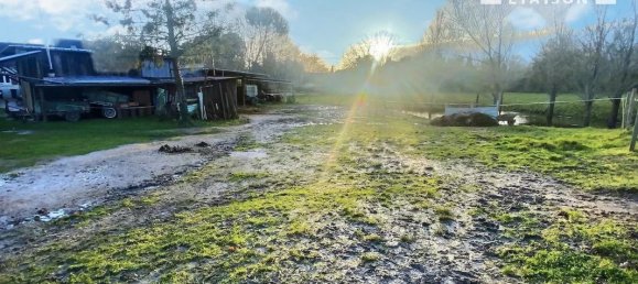 2 غرف نوم منزل في Veuzain-sur-Loire, France رقم 330309 14