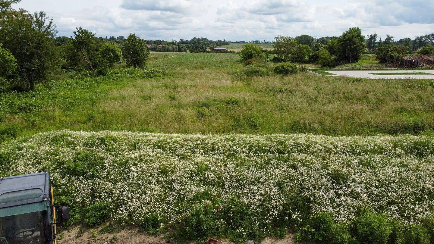 Grundstück in Nordsachsen, Germany, Nr. 296185