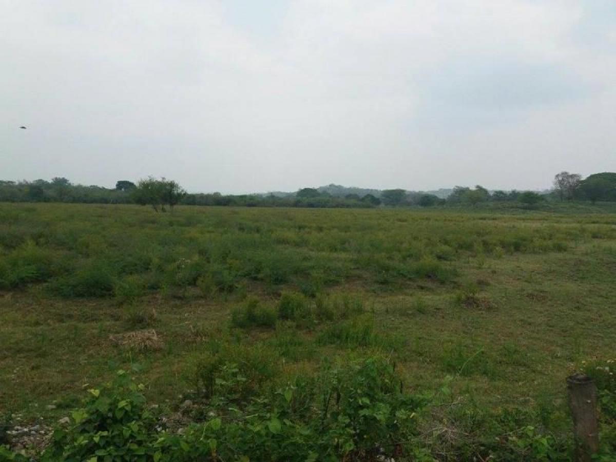 5 bedrooms House in Puebla, Mexico No. 171220