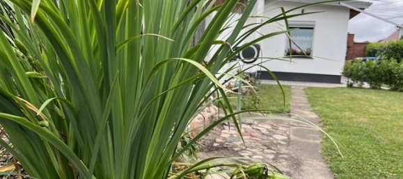 5غرفة منزل في Ludwigslust-Parchim, Germany رقم 229442 14