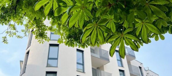 1-Zimmer Gewerbliche Immobilie in Meidling, Austria, Nr. 85389 7