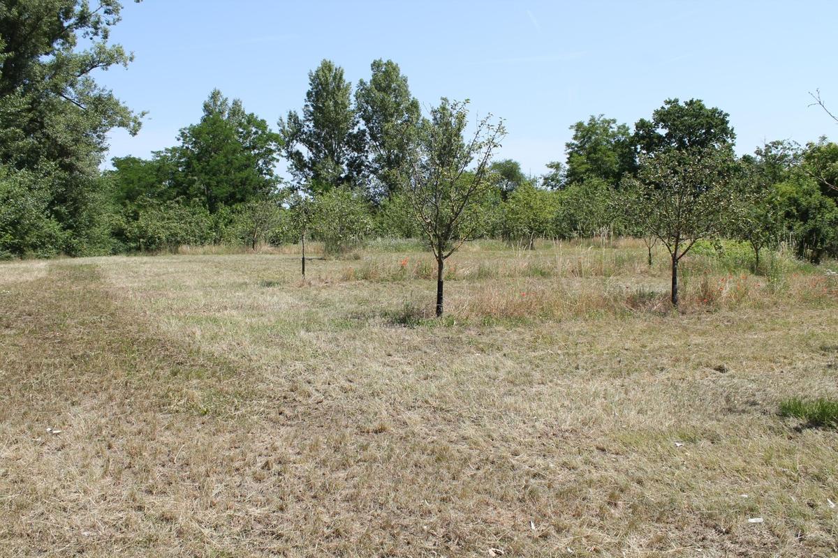 Terreno em Sierndorf, Austria 5023 m² N.º 137741