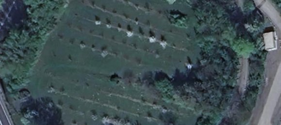 Terreno em Sierndorf, Austria 5023 m² N.º 137741 5