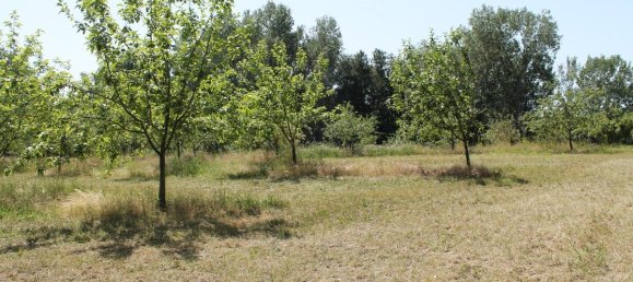 Terreno em Sierndorf, Austria 5023 m² N.º 137741 3