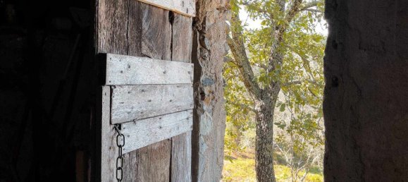 6 rooms House in Lerici, Italy No. 262405 21