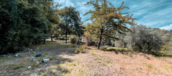 6 rooms House in Lerici, Italy No. 262405 35