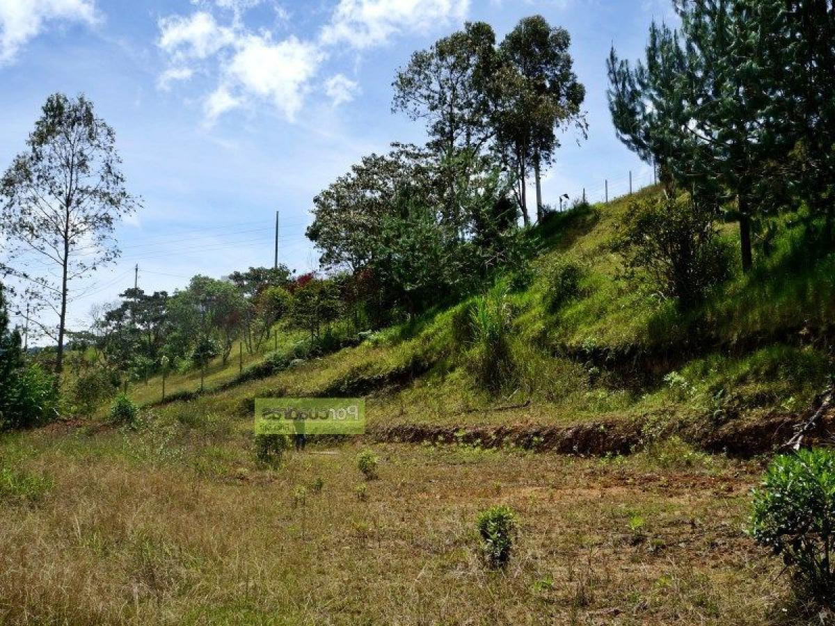  Land in Antioquia, Colombia No. 601