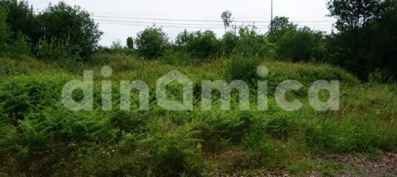 Земельный участок в Вила Нова ди Фамаликан, Португалия № 32417 2