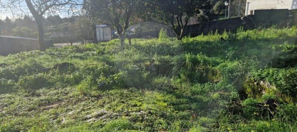 2 bedrooms House in Soure, Portugal No. 28824 2