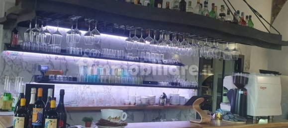 Gewerbliche Immobilie in La Spezia, Italy 150m², Nr. 14103 2