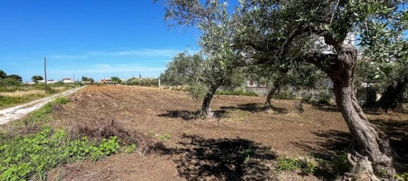 1 chambre Appartement à Castelvetrano, Italy No. 362955 6