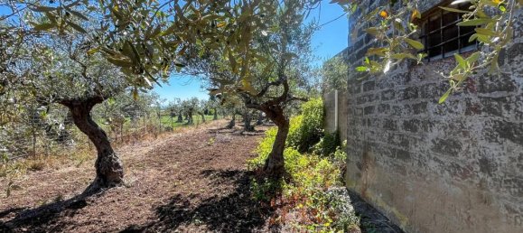 1 chambre Appartement à Castelvetrano, Italy No. 362955 4