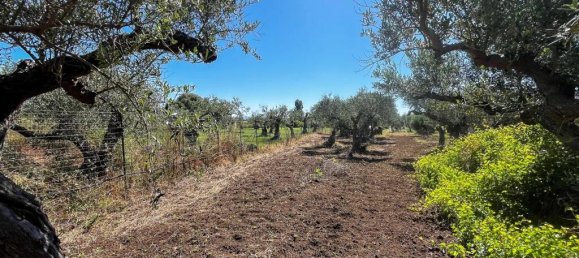 1 chambre Appartement à Castelvetrano, Italy No. 362955 5