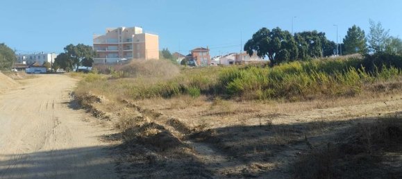  Land in Santarem, Portugal No. 133424 3