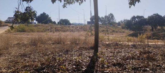  Land in Santarem, Portugal No. 133424 10