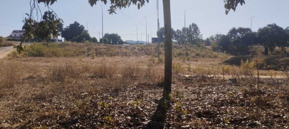  Land in Santarem, Portugal No. 133424 6