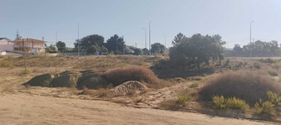  Land in Santarem, Portugal No. 133424 2