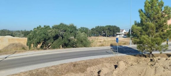  Land in Santarem, Portugal No. 133424 8