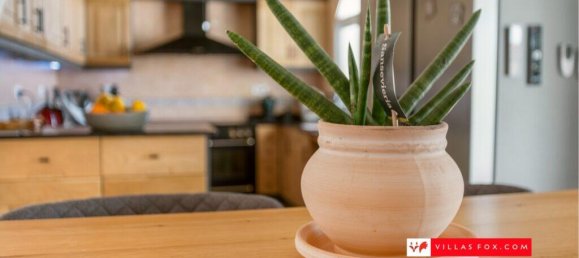 5 bedrooms Villa in San Miguel de Salinas, Spain No. 246024 34