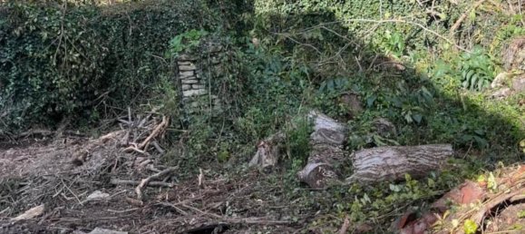 Дом с 15 комнатами в Альба, Италия № 161210 43