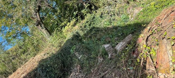 Дом с 15 комнатами в Альба, Италия № 161210 42