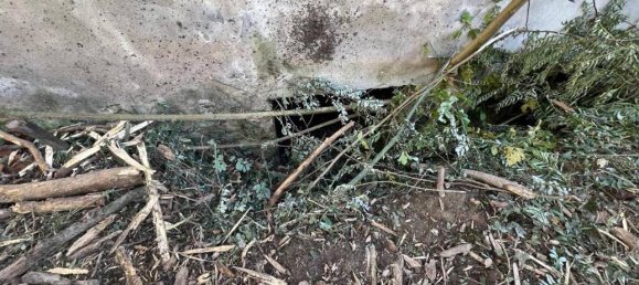 Дом с 15 комнатами в Альба, Италия № 161210 37