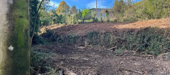 Дом с 15 комнатами в Альба, Италия № 161210 39