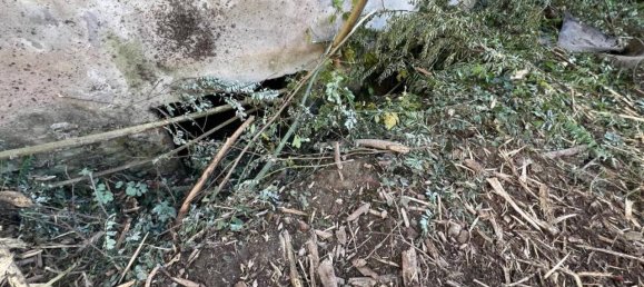 Дом с 15 комнатами в Альба, Италия № 161210 41