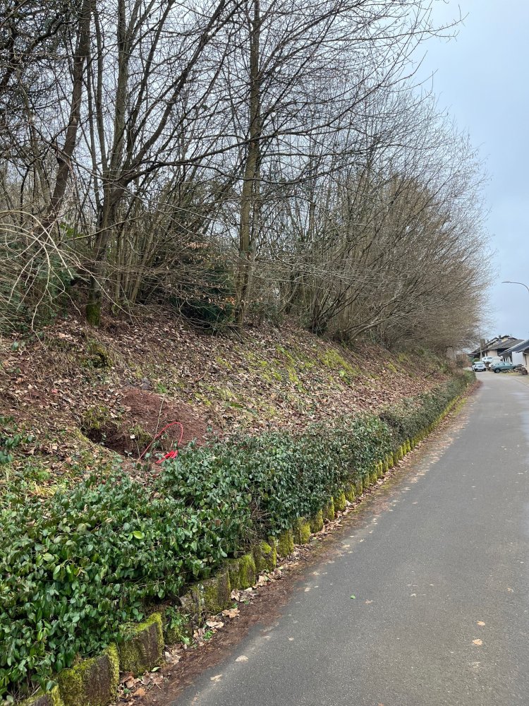  قطعة أرض في Bad Kreuznach, Germany رقم 85151