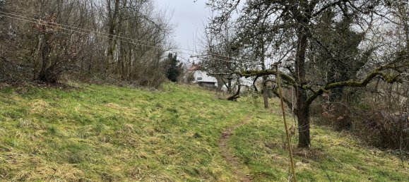  قطعة أرض في Bad Kreuznach, Germany رقم 85151 2