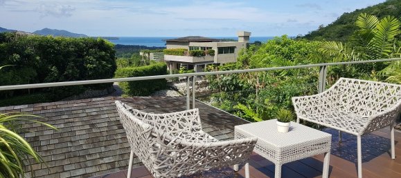 4 bedrooms Cafe / restaurant in Phuket, Thailand No. 7475 4